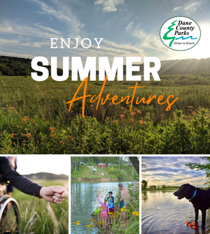 Find a Park to Explore!